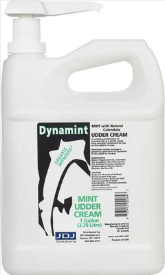 Dynamint 1Gal Cream White w/Pump