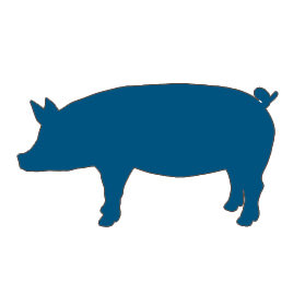 Swine and Hog Waterers