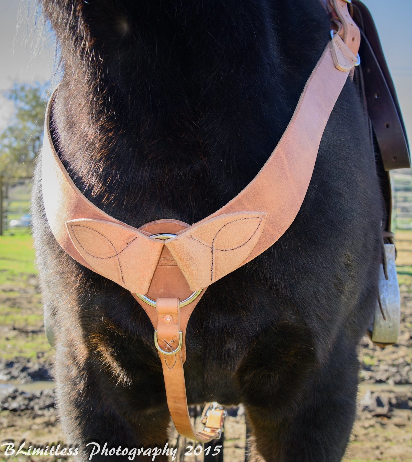 Buckaroo Leather Heavy Harness Leather Roper Breast Collar