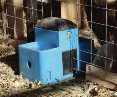 Lilspring 2700 by Miraco goat and sheep waterer Heated
