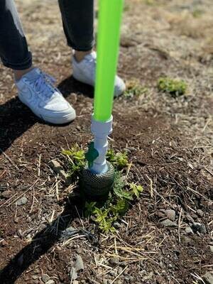 Smucker Hand-held Dauber Weeder