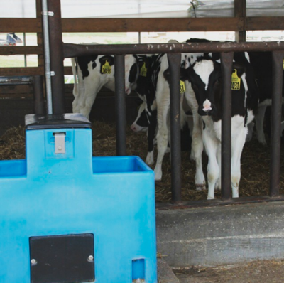 Lilspring 2900 in BLACK two trough automatic waterer