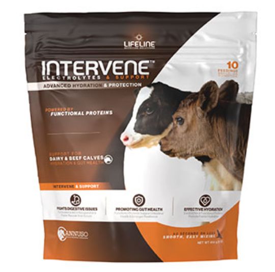 Lifeline Intervene Nutritional Supplement for Scouring Calves 1 lb