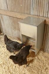 Little Giant Galvanized High Capacity Poultry Feeder 25lbs