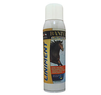 Banixx Premium Analgesic Liniment 13.2 Oz