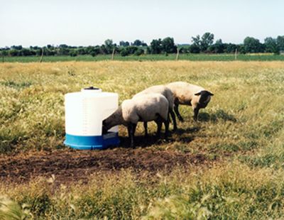 Pride of the Farm 85 Gallon Field Drinker WFD85