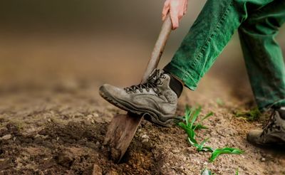 Werkschoenen Landbouw