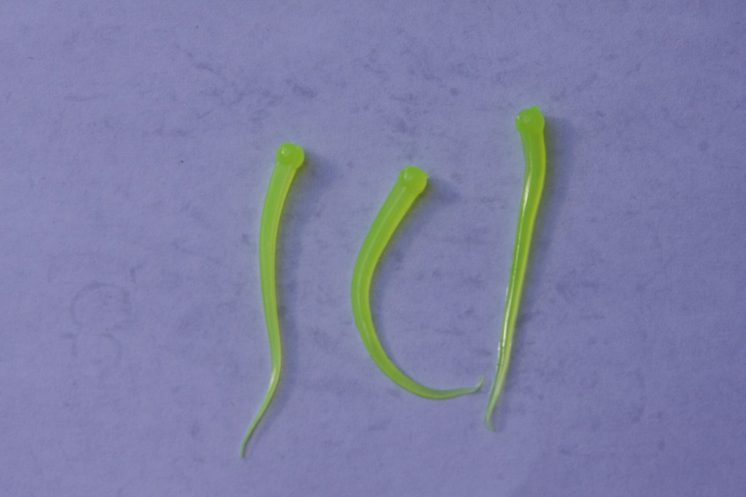 1.5" Pan Fish, Color: NEON YELLOW, Salt: NO SALT, Scent: NO SCENT