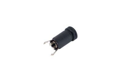 Fuse holding cap