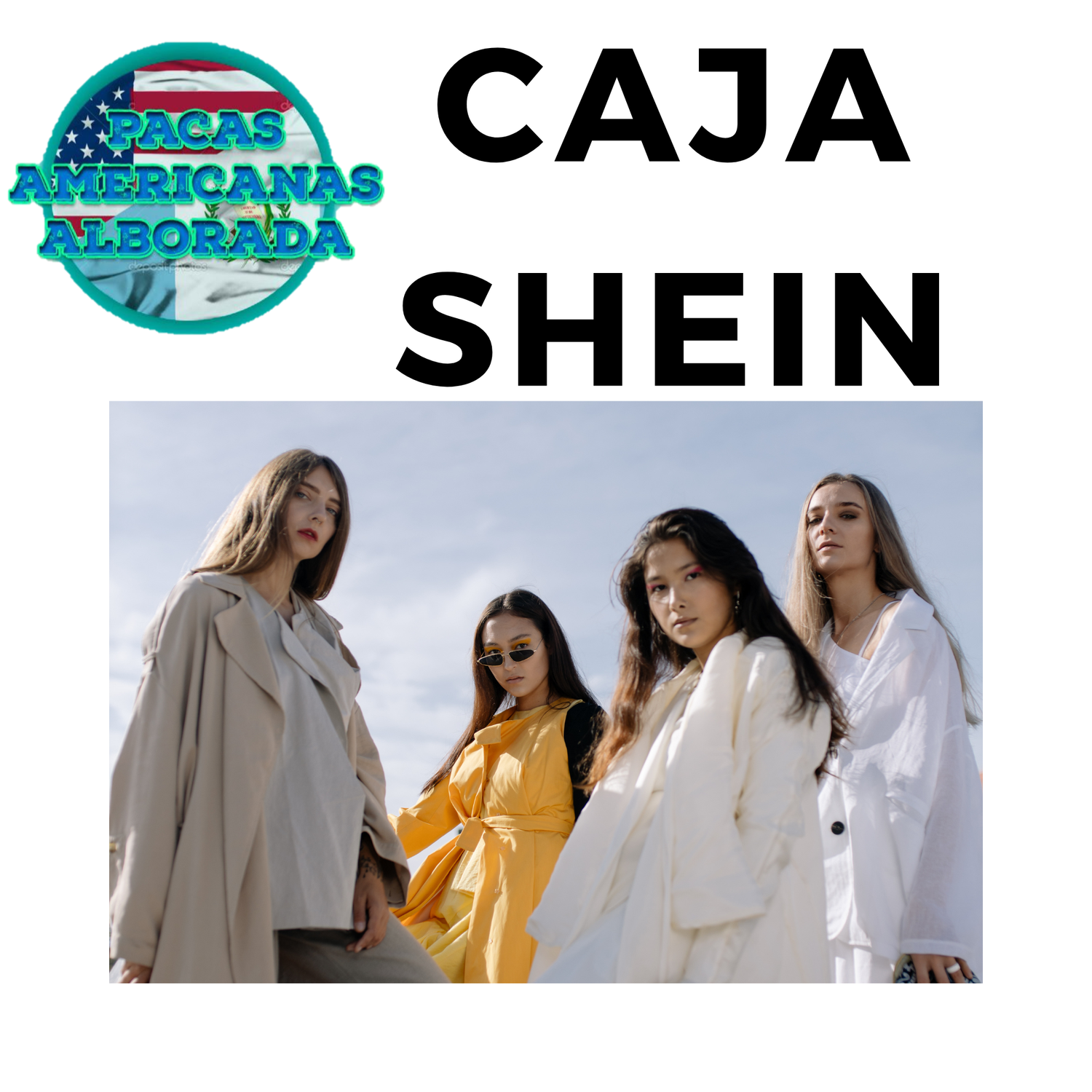 CAJA SHEIN CURVE  50 PIEZAS
