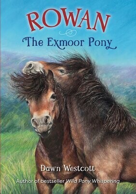 Rowan The Exmoor Pony - UK Delivery only