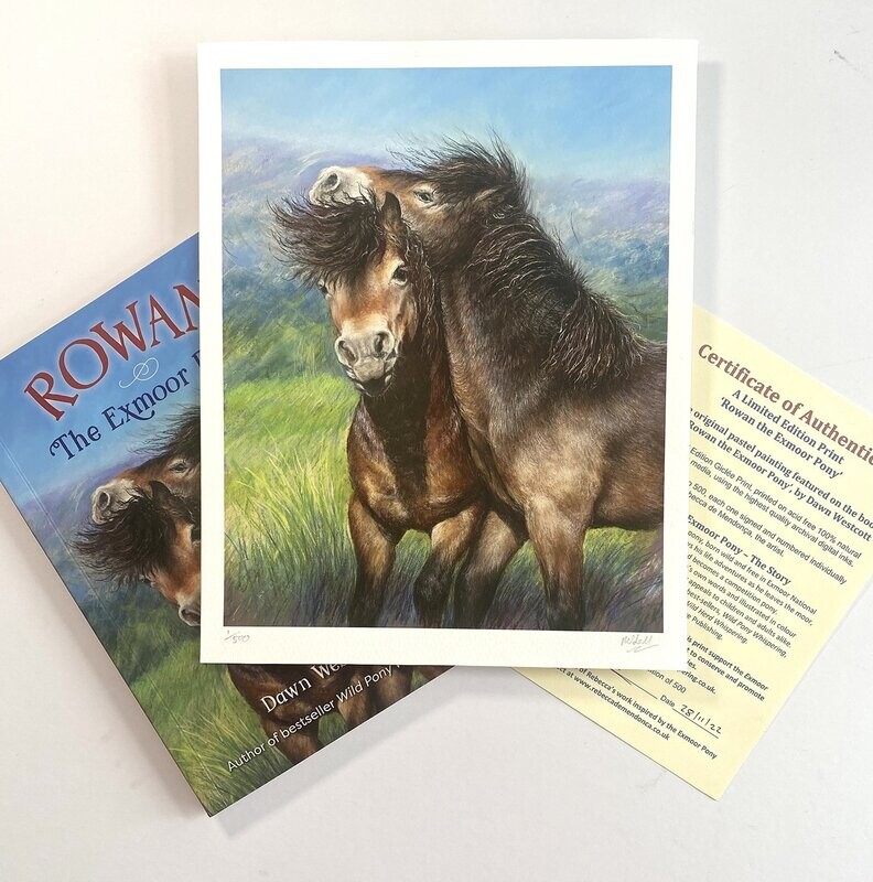Collector's Limited Edition Signed Print & Book