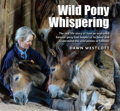 WILD PONY WHISPERING - UK delivery only