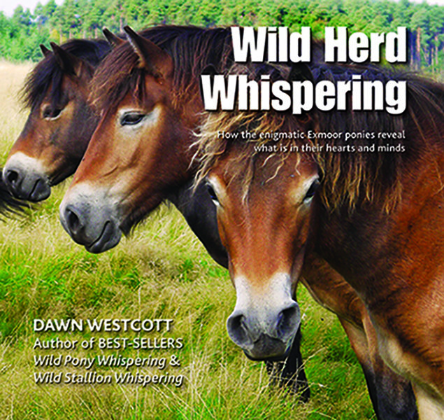 WILD HERD WHISPERING - UK Delivery only
