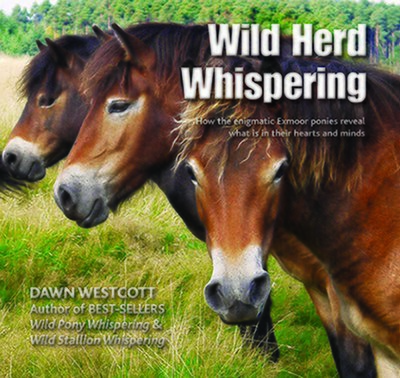 WILD HERD WHISPERING - UK Delivery only
