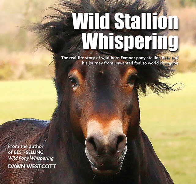 WILD STALLION WHISPERING - UK delivery only