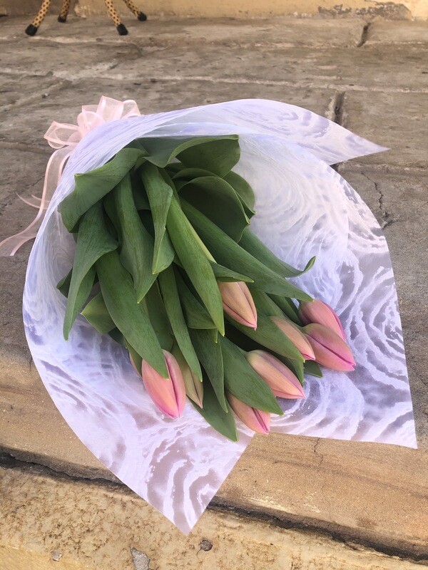 Pink Tulip Wrap