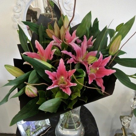 Lily