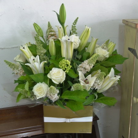 Vanda