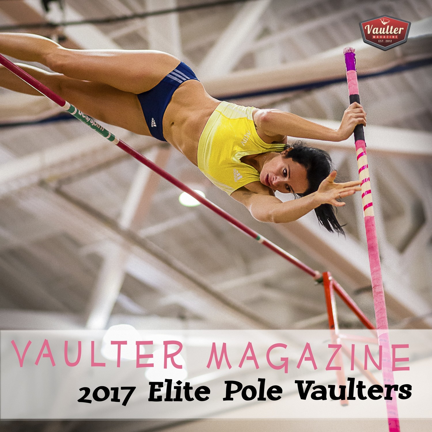 2017 Elite Pole Vaulters