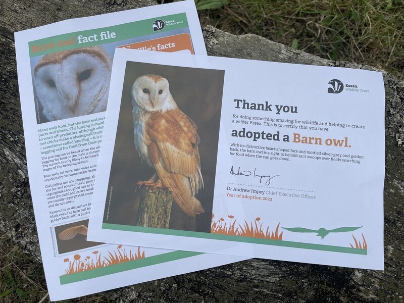 Adopt a barn owl - digital pack