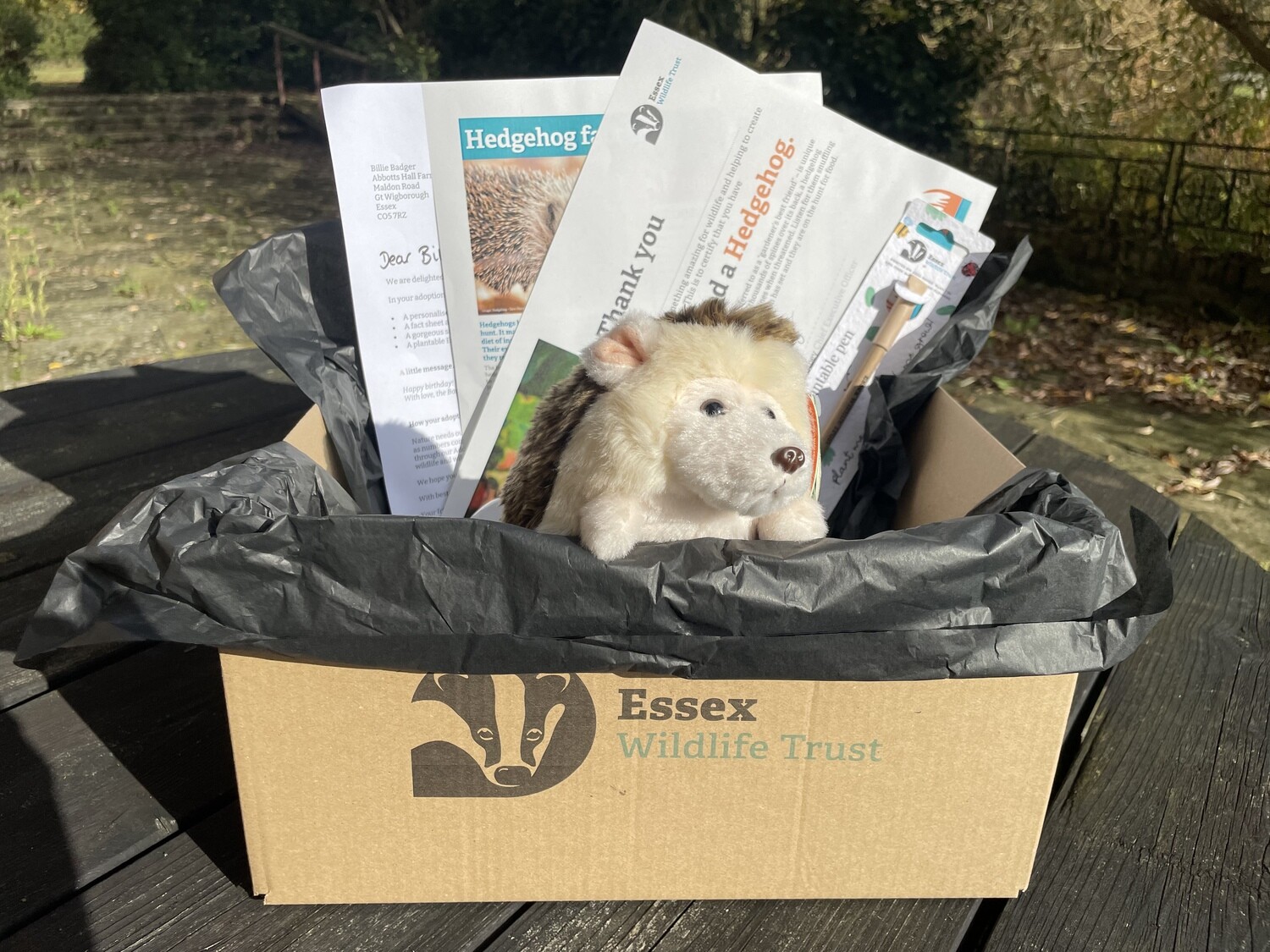 Adopt a hedgehog - gift box