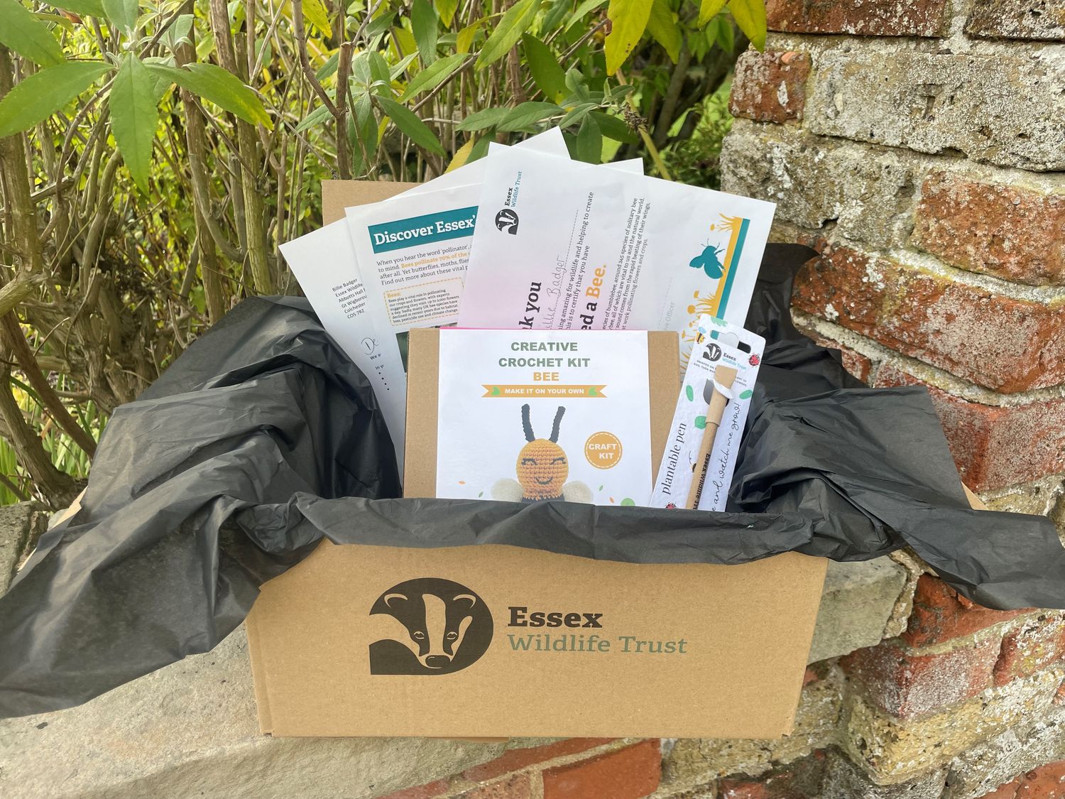 Adopt a bee - gift box