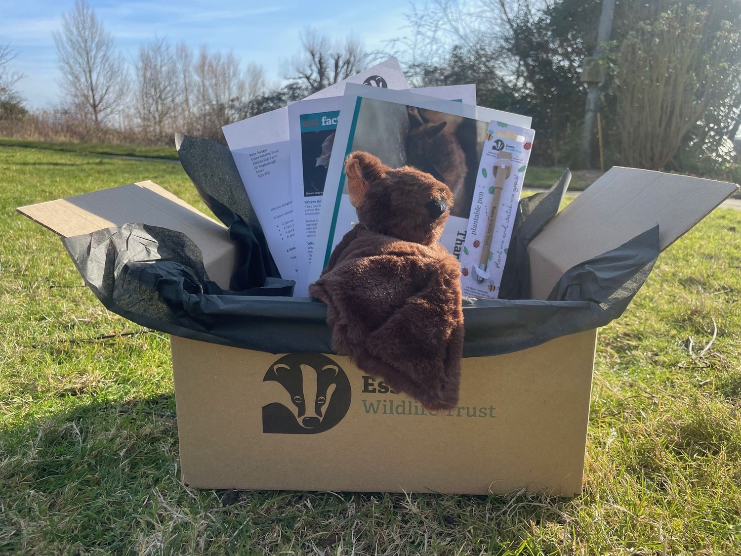 Adopt a bat - gift box