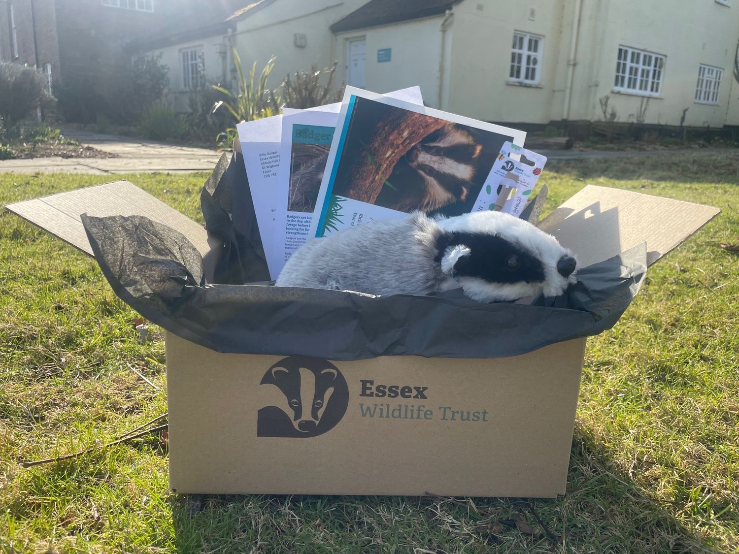 Adopt a badger - gift box