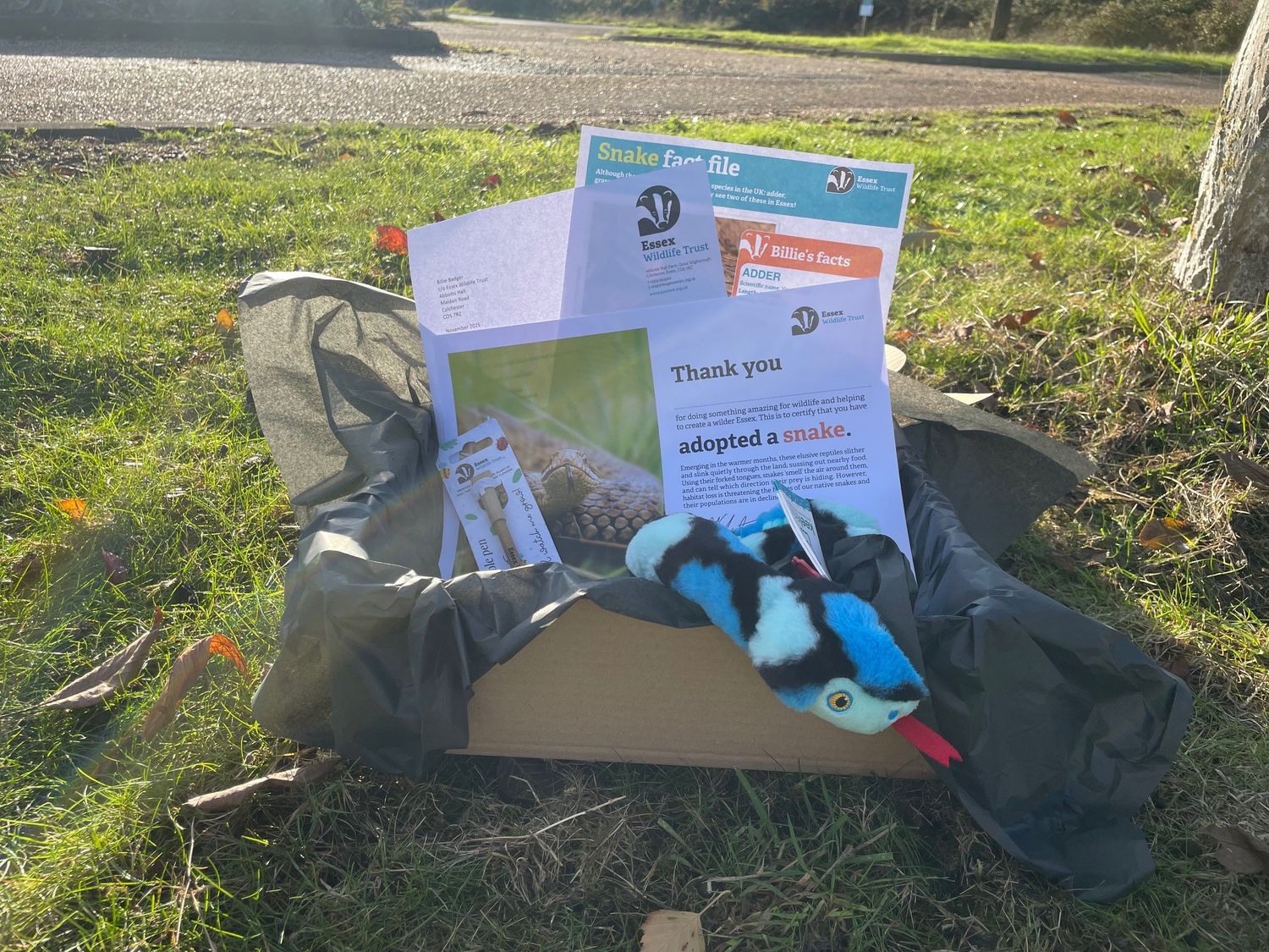 Adopt a snake - gift box