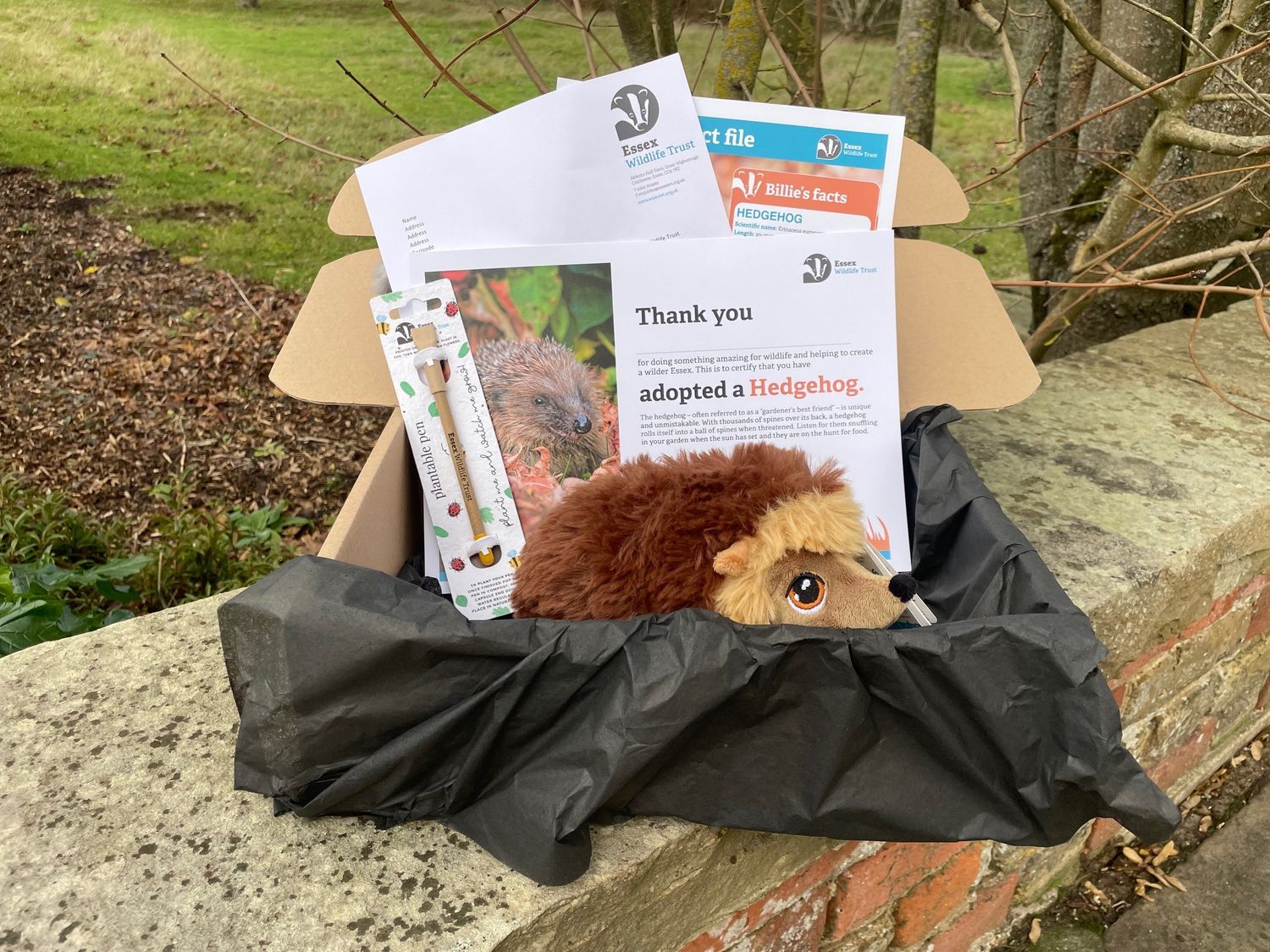 Adopt a hedgehog - gift box
