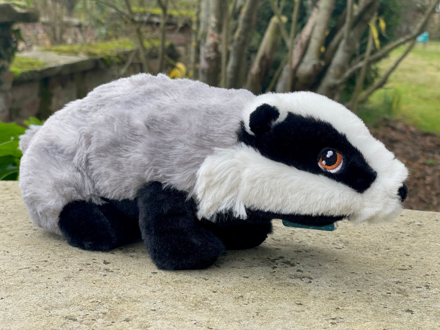 Adopt a badger - gift box