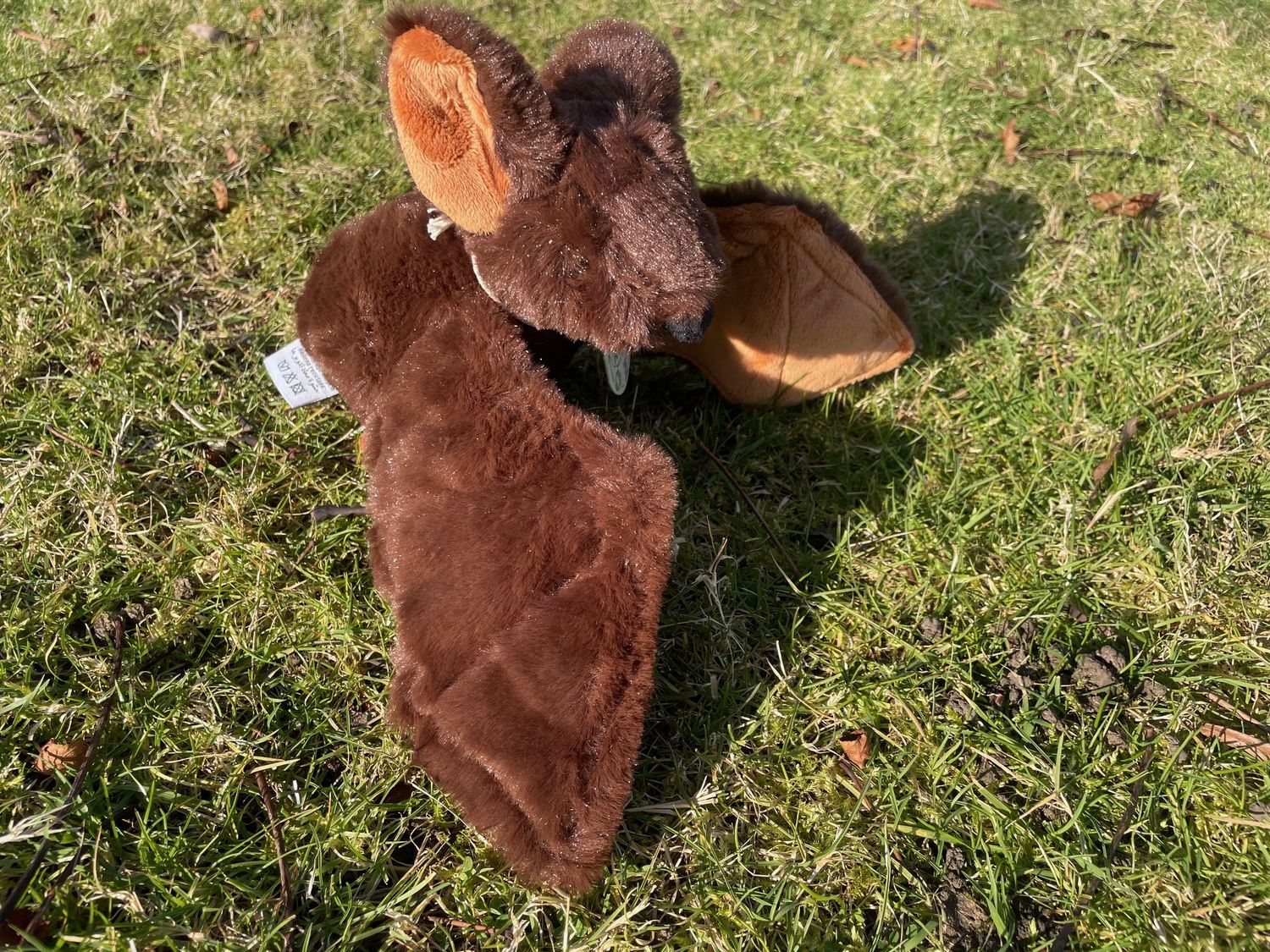 Adopt a bat - gift box
