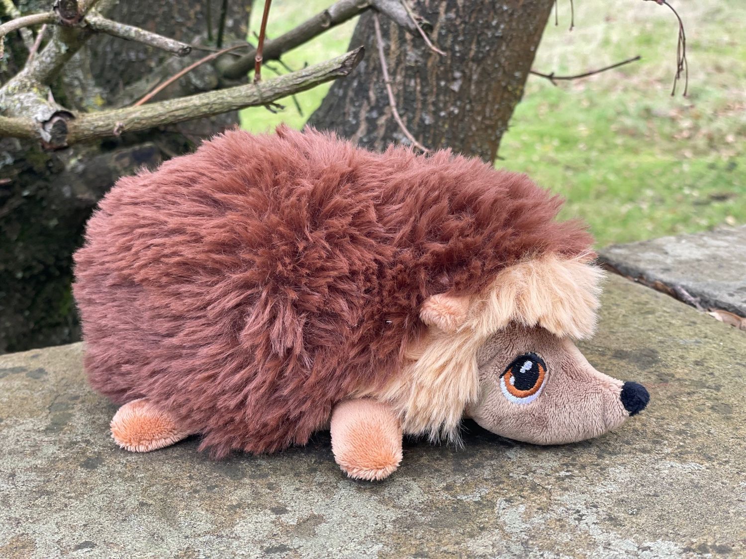 Adopt a hedgehog - gift box