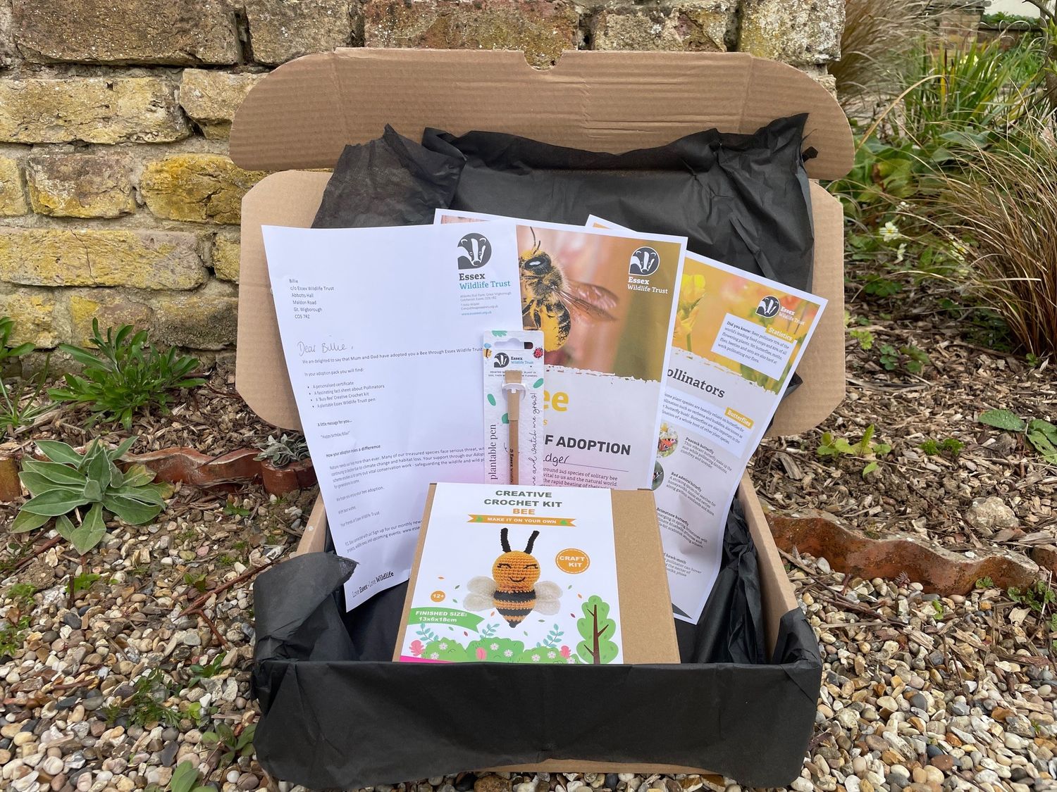 Adopt a bee - gift box