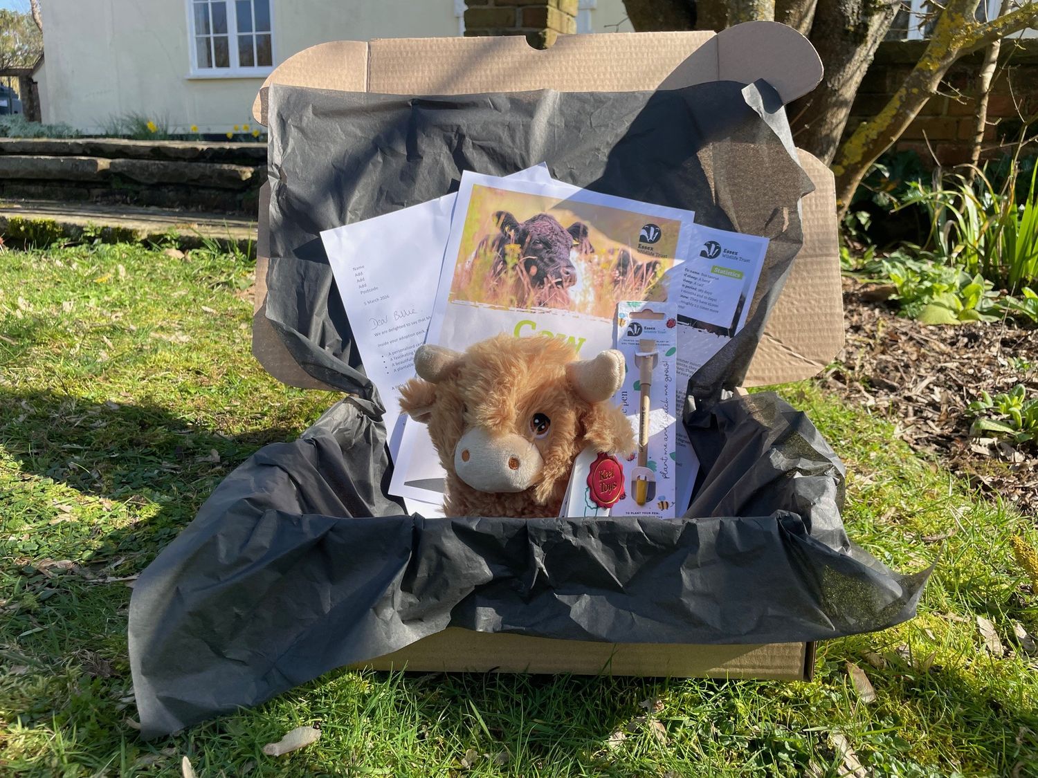 Adopt a cow - gift box