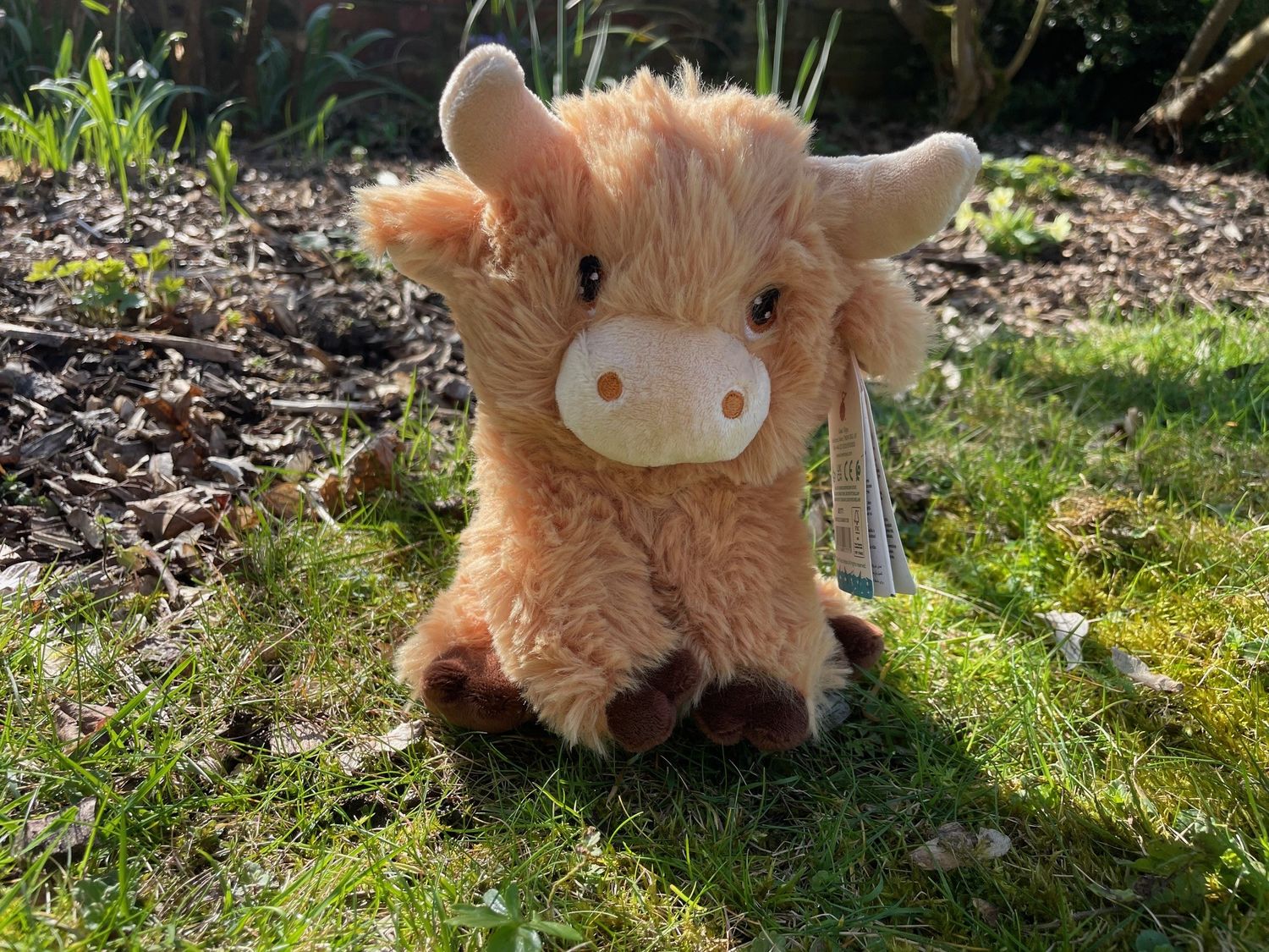 Adopt a cow - gift box