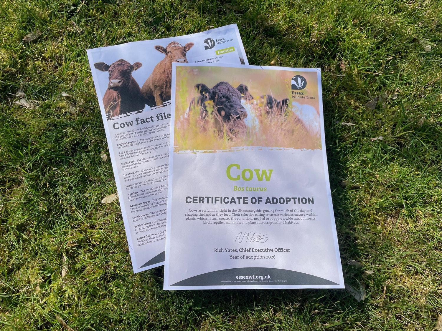 Adopt a cow - digital pack