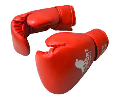 Перчатки боксерские Master (экокожа)
