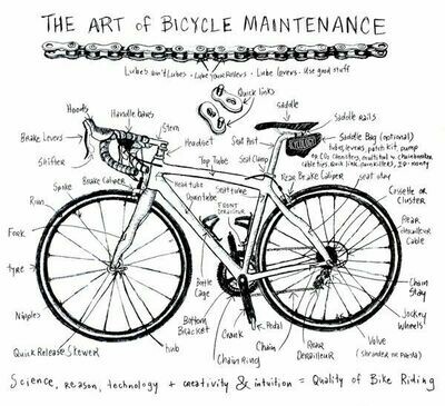 Events, Workshops & Bike Fitting