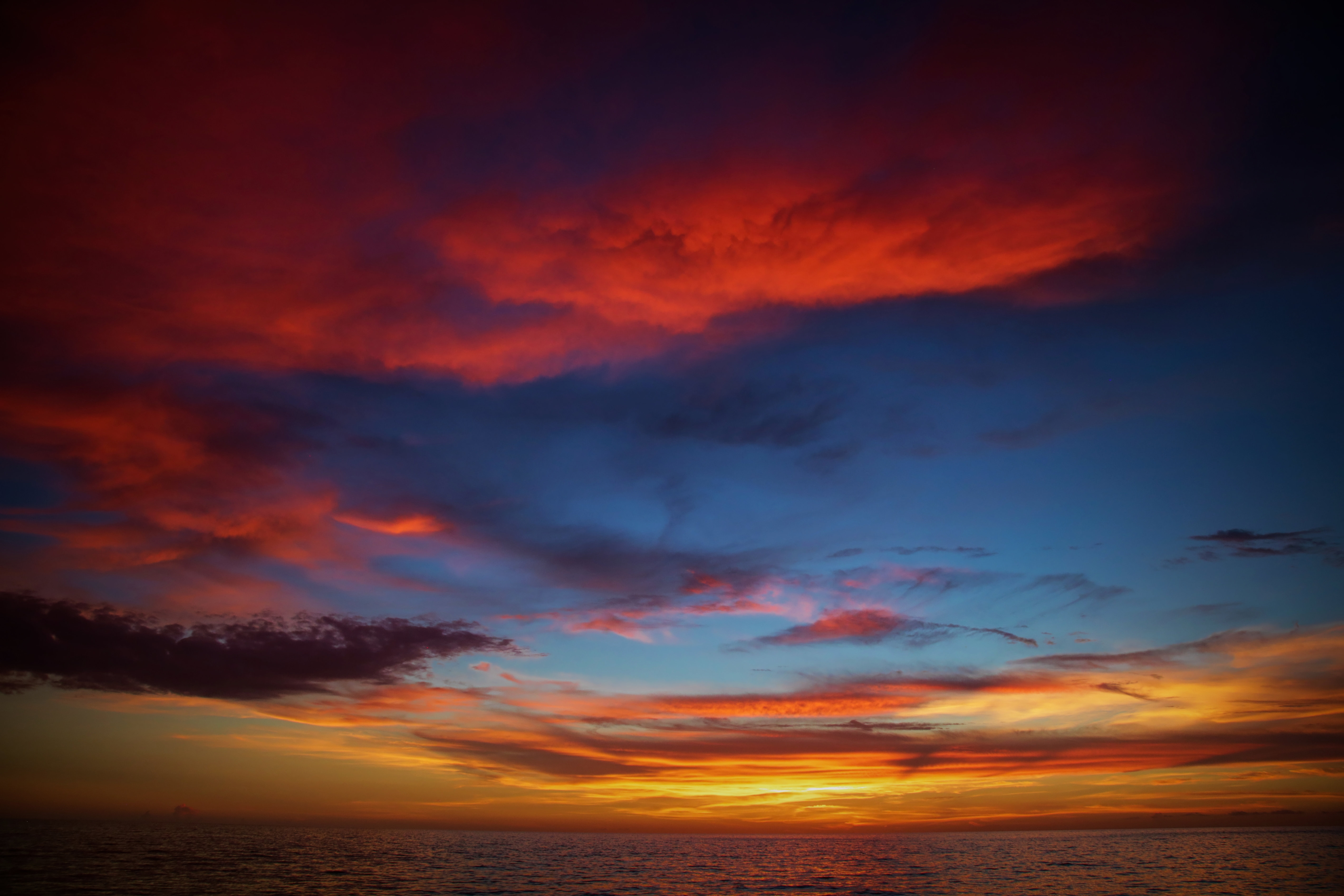 Colors of Naples - Gulf Sunset CON_ALU_001