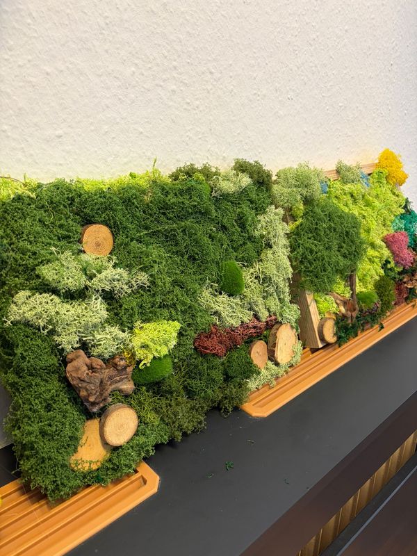 Workshop Moos Bilder gestalten