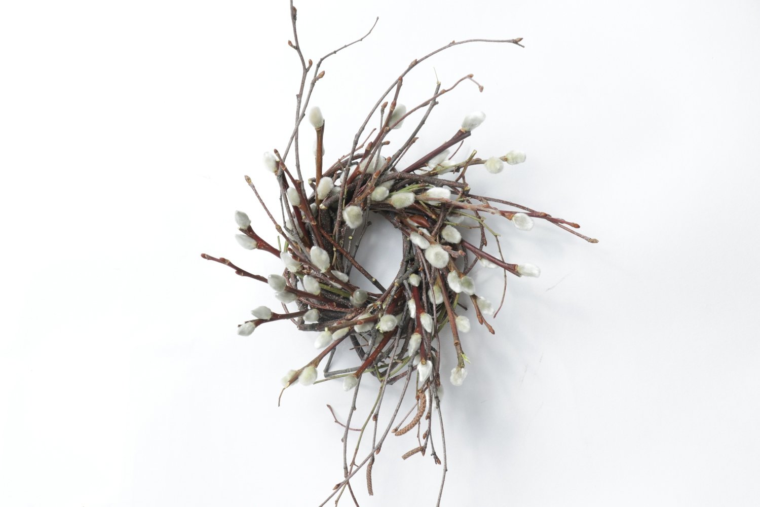 2" Pussy Willow Twist Case of 24