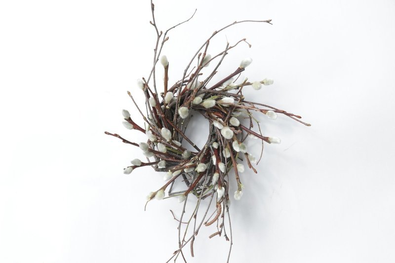 2" Pussy Willow Twist Case of 24