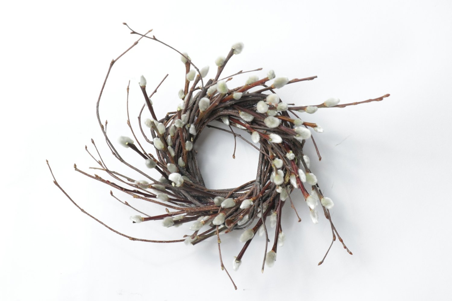 4" Pussy Willow Twist Case of 12