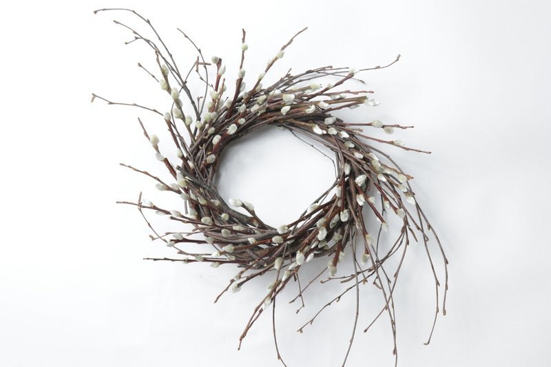 6" Pussy Willow Twist Case of 6
