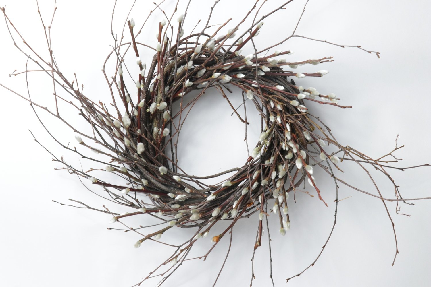 9" Pussy Willow Twist Case of 6