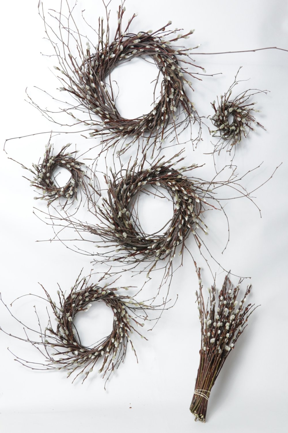 Pussy Willow Value Pack Case of 11