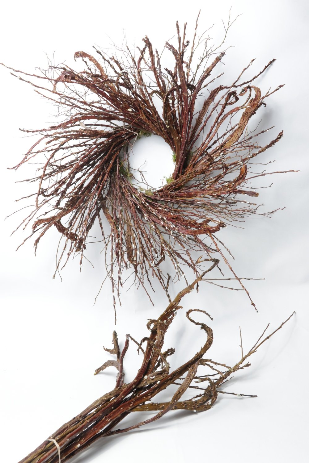 26" Fantail/Blueberry Wreaths and Bundles Case of 9