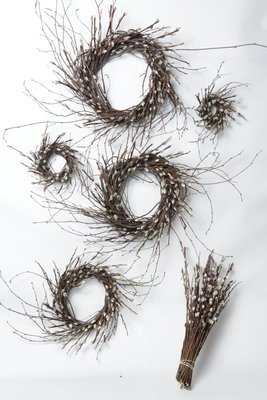 Pussy Willow